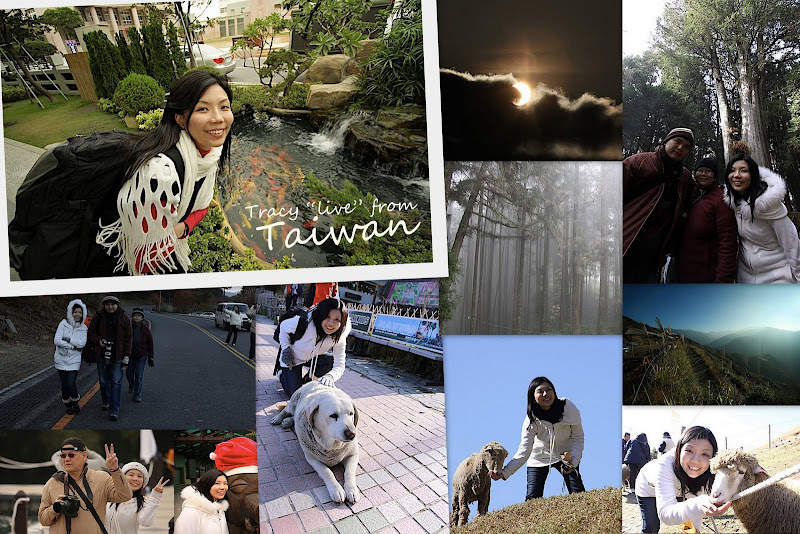 Greetings from Taiwan! THE WAHBIANG BLOG